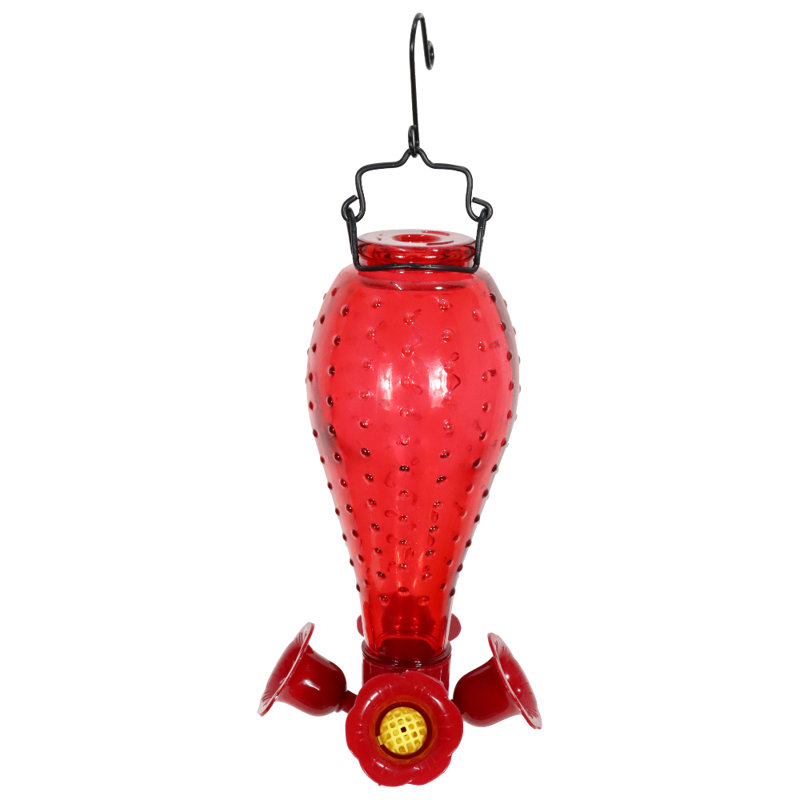Nishath Glass Hanging Hummingbird Feeder