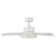 Elf 38'' Ceiling Fan with LED Lights