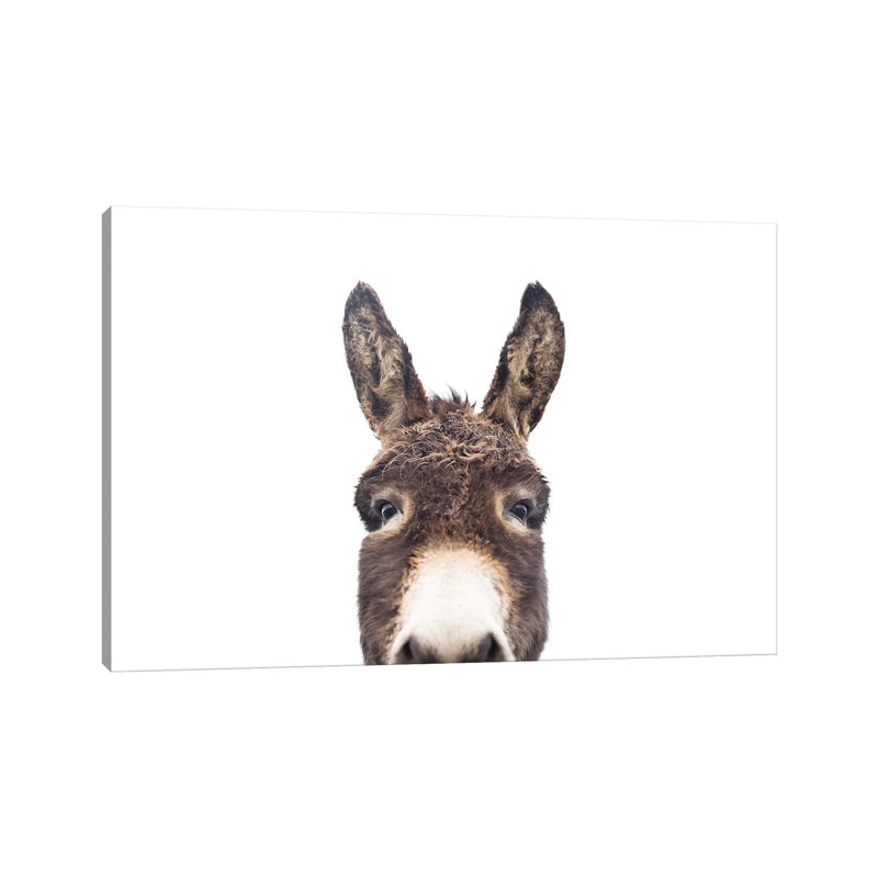 «Peeking Donkey» par Sissi & Seb - reproduction de photo, Toile tendue, Pas de tapis, 26" H x 40" W x1.5" D