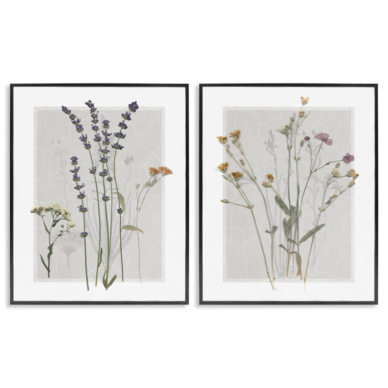 Delicate Wildflower Herb Sprigs 2 Piece Black Framed Giclee Art Set by Carol Robinson, Midnight Black Framed Giclee