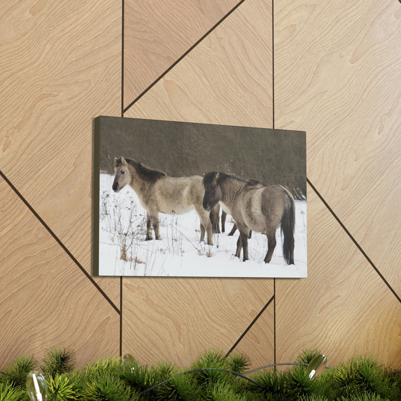 Wall Art on Canvas, 27.94cm H x 35.56cm W