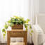 Artificial Pothos Plant in Planter