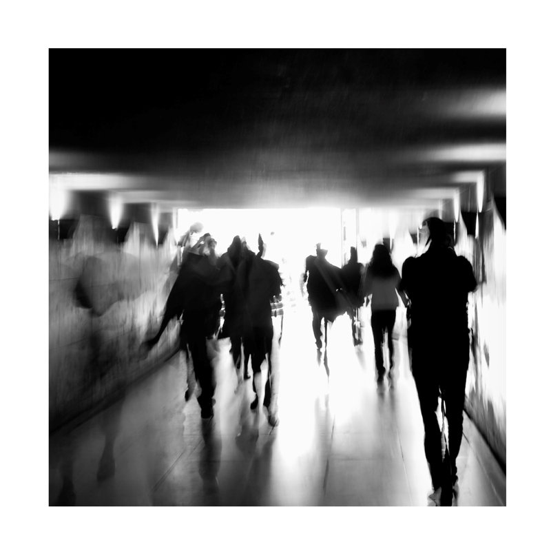 Andrea Klein Underground Pathway Canvas Art, 14" H x 14" W