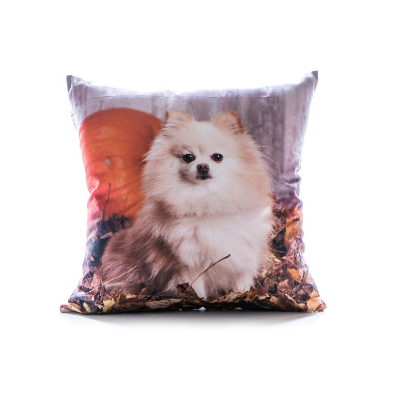 Coussin décoratif en coton Pomeranian