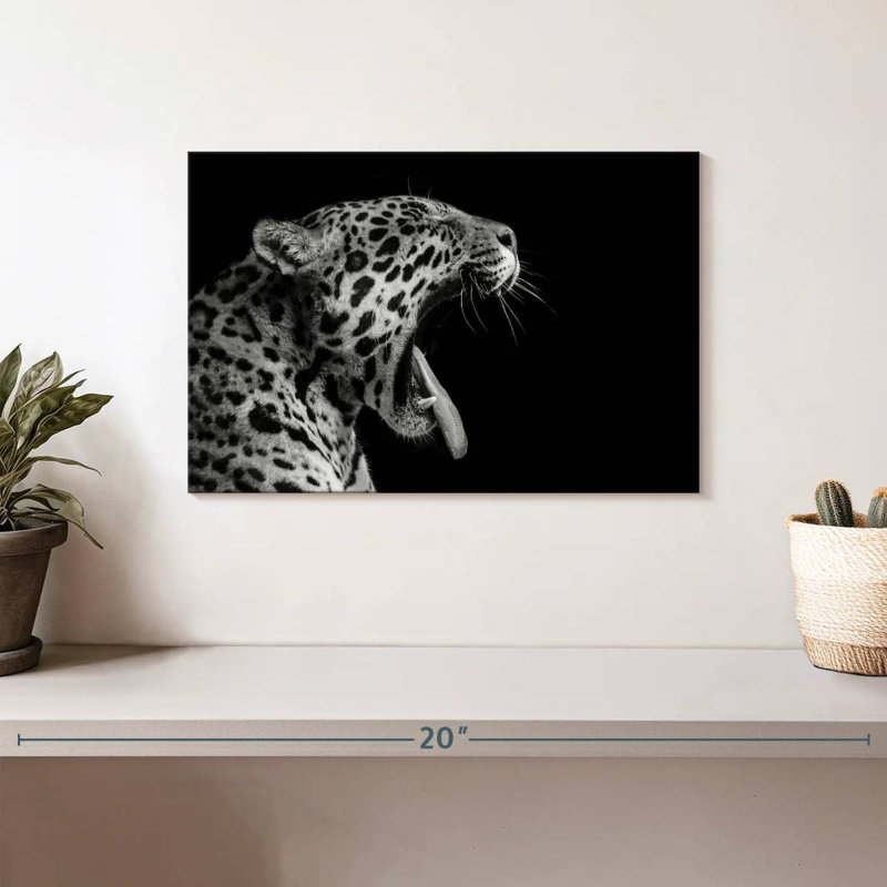 Brampt Jaguar Yawn, 8" H x 12" W