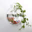 Pot de fleurs en acrylique transparent pour aquarium