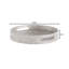 Triton Shell / Capiz Decorative Tray-1043272464-1043272465