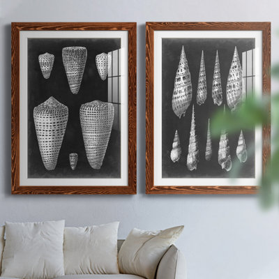 Alabaster Shells IPremium, reproduction encadrée - prête à être accrochée