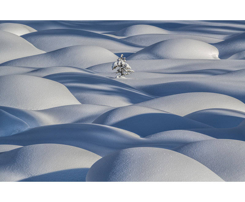 Wrapped Canvas Print, 50.8 cm H x 76.2 cm W