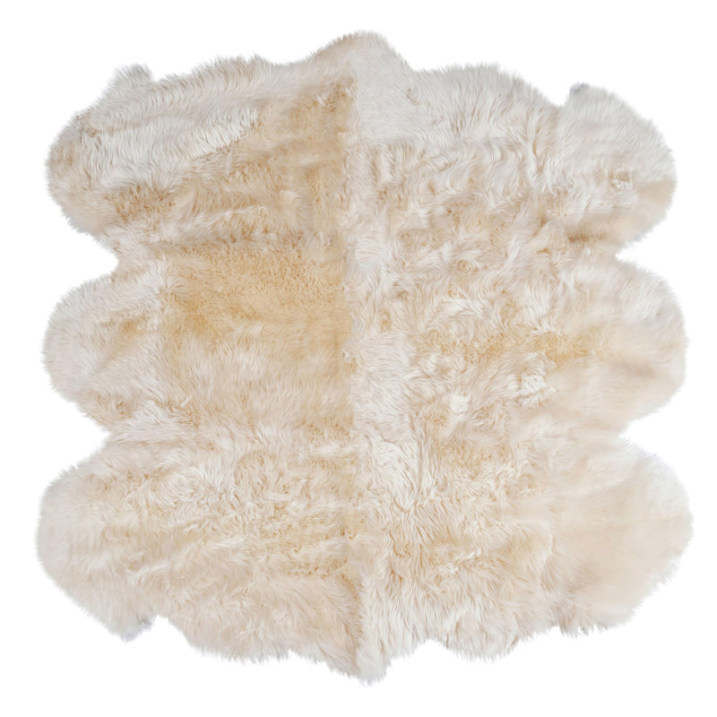 Fraley Sheepskin Indoor Rug, Novelty 5'