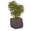 Ensemble de plantes grasses artificielles 3 pièces