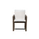 Josefa Wood Outdoor Dining Armchair with Cushion