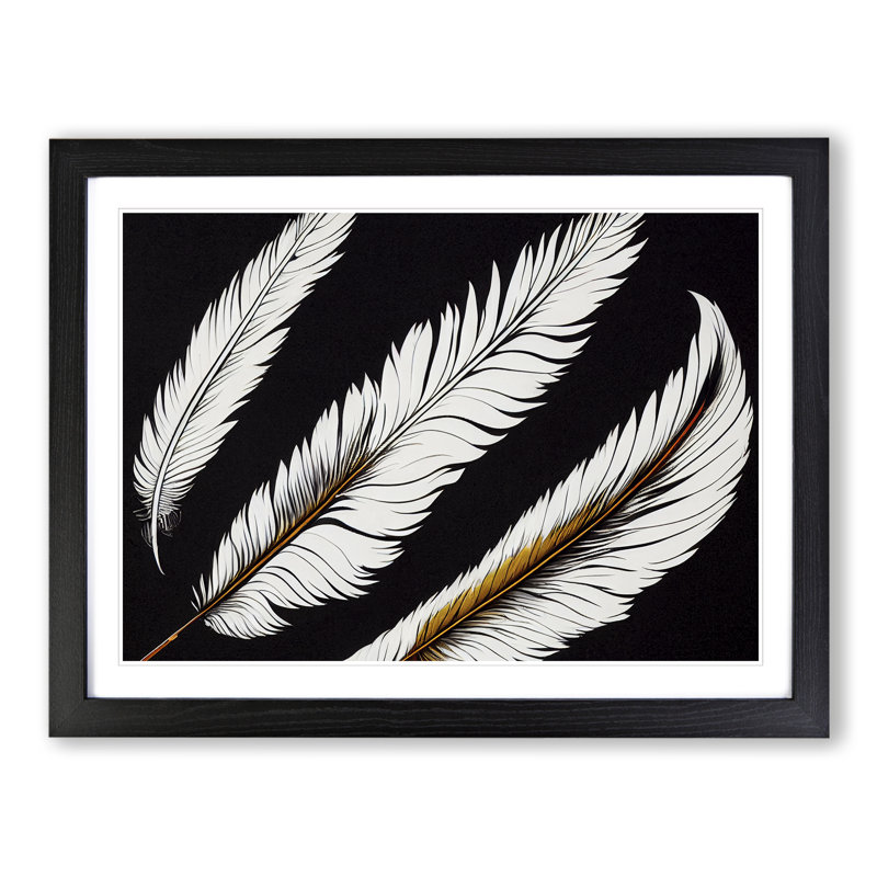 Groovy Bird Feathers - Framed Print, Black Framed, 46cm H x 64cm W x 2cm D