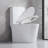 Compact and Efficient Dual-Flush Toilet for Space-Saving Bathrooms