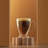 Declan Irish Double Wall Glasses, 15oz
