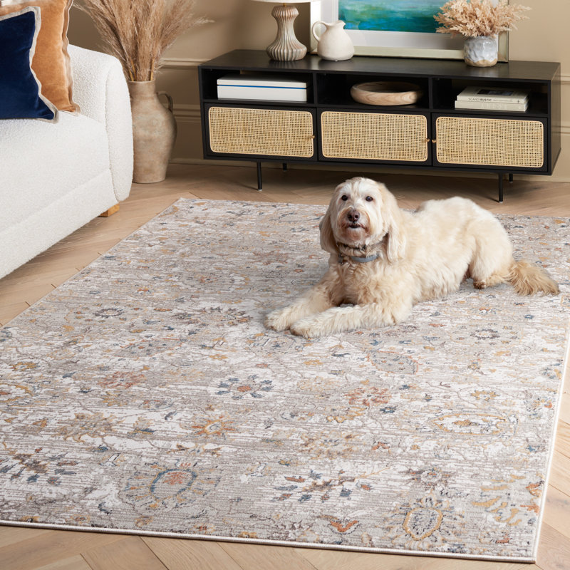 Tapis oriental performance Koltay, Rectangle 5 pi 3 po x 7 pi 6 po