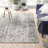 Deedra Modern Abstract Power Loom Performance Gray/White Rug-1615092021
