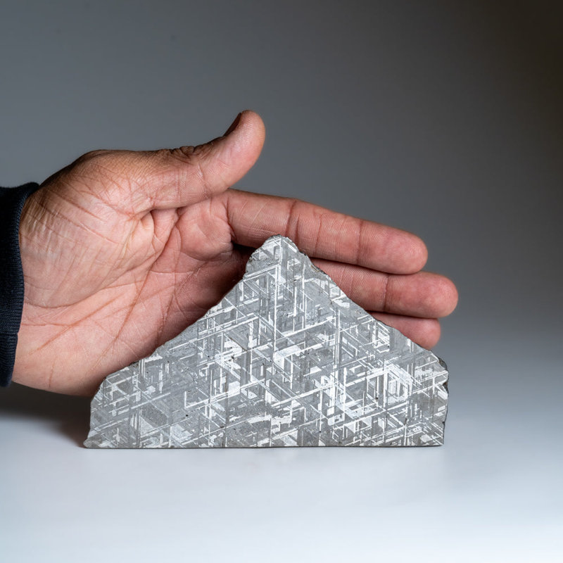 Genuine Muonionalusta Meteorite Slice (239 Grams)