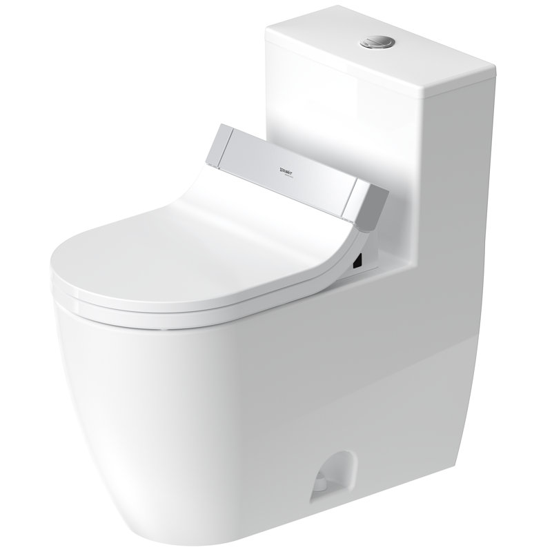 Dual-Flush Elongated One-Piece Toilet (Seat Included)
