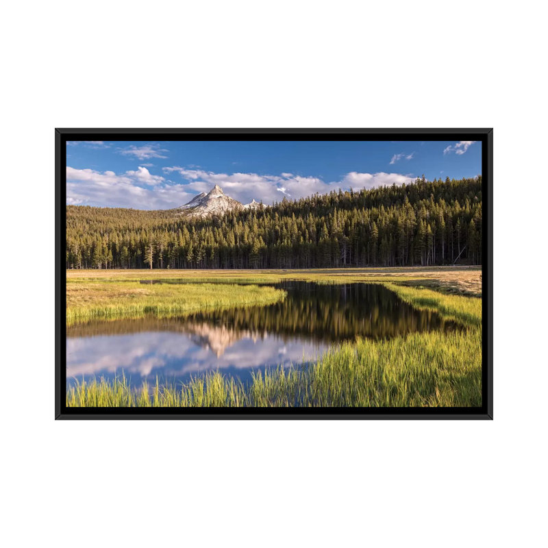 Tuolumne prairies, reproduction de photo sur toile tendue, H 32 po x l 48 po x P 1,5 po, Toile avec cadre noir, Pas de tapis