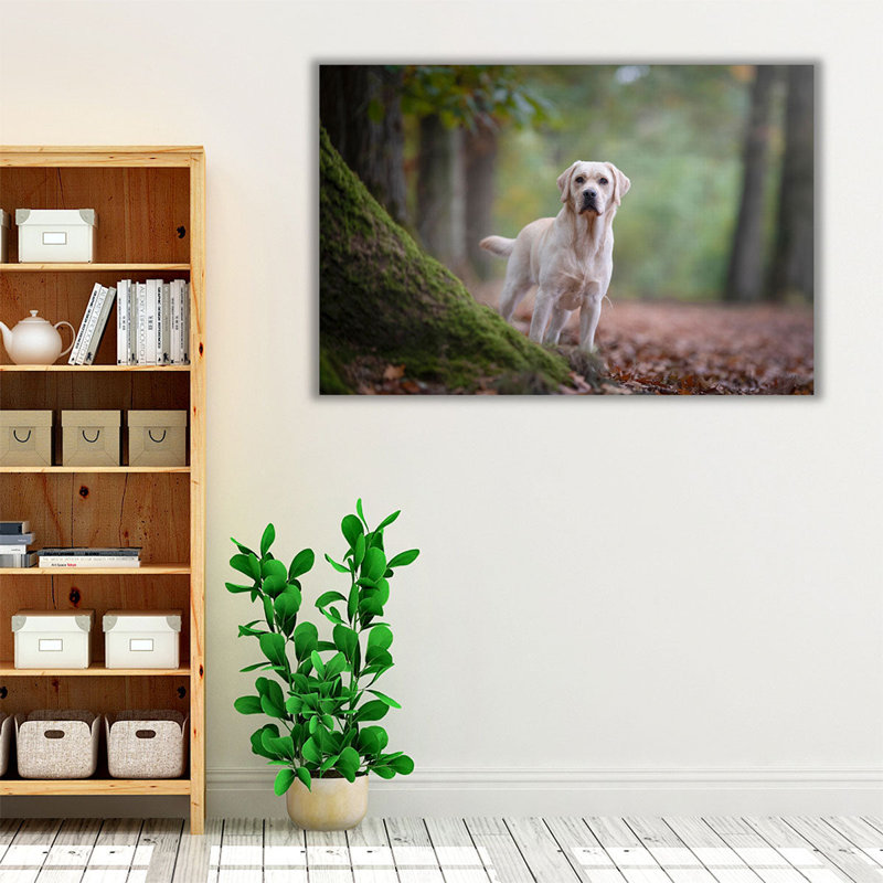 «Yellow Labrador Retriever debout dans une forêt», reproduction d'art sur toile, H 16 po x l 24 po