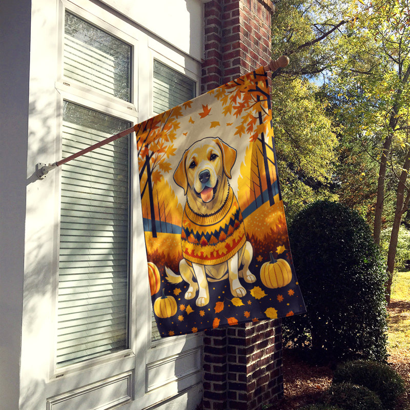 Drapeau de maison en polyester à double face H 40 po x l 28 po