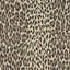 WILD CARD Wallpaper - Butterscotch 9'10" - full height wallpaper