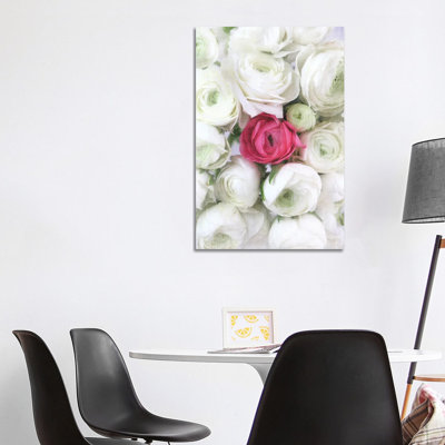 Vintage Ranunculus In White And Hot Pink 1 Piece Wall Art on Canvas