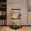Display Cabinet-1866153052