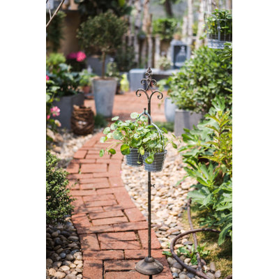 Rempe Hanging Planter