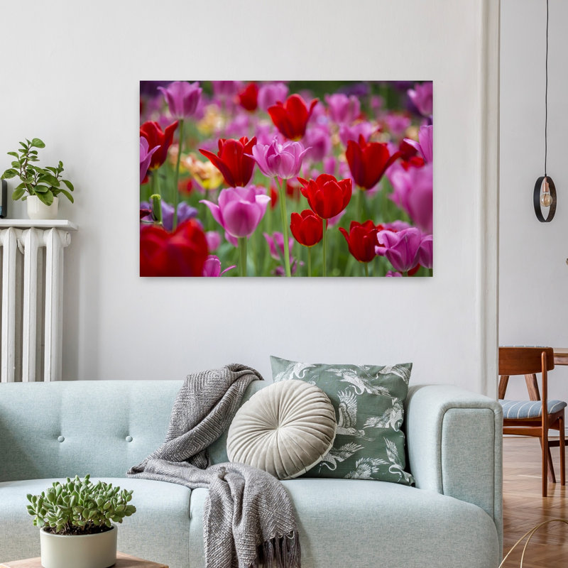 Red and pink Tulips in a garden Cantigny Park Wheaton Illinois USA 1 Piece Wrapped Canvas Wall Art, 91.44 cm H x 60.96 cm W