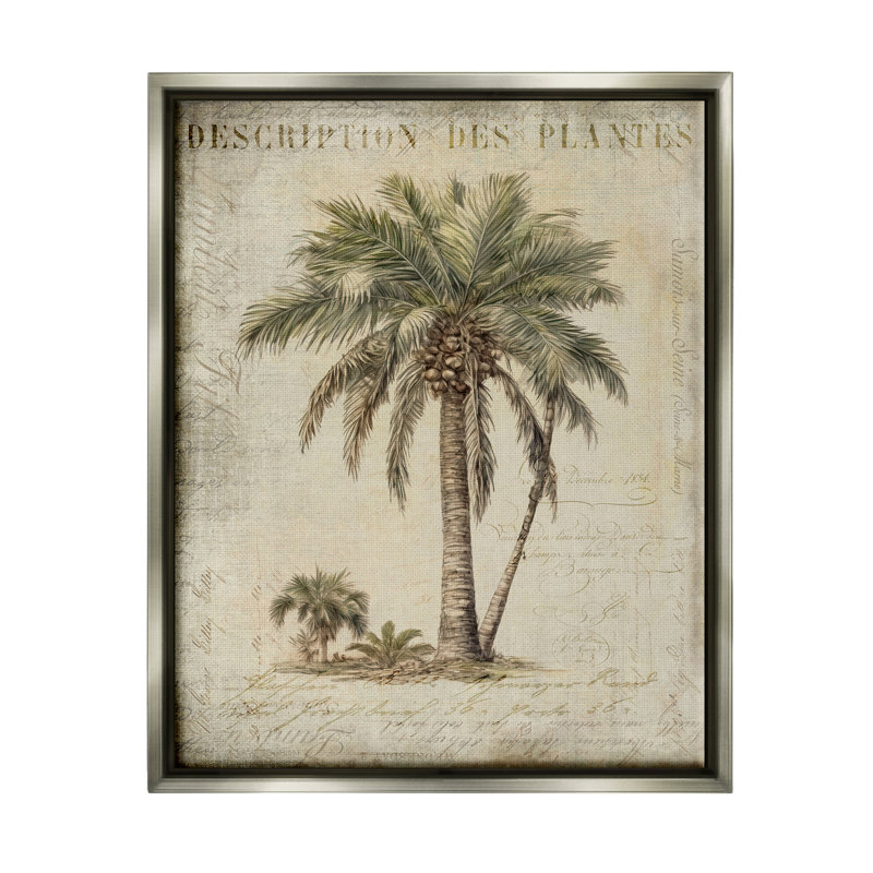 Étude de palmier rétro par Andrea Haase, H 21 po x l 17 po x P 1,7 po, Cadre flottant gris lustré