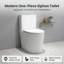 Toilette allongée en céramique une pièce à double chasse 1,1 / 1,6 GPF, 12 po