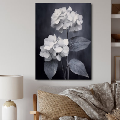" Black White Hydrangea Blooming II "