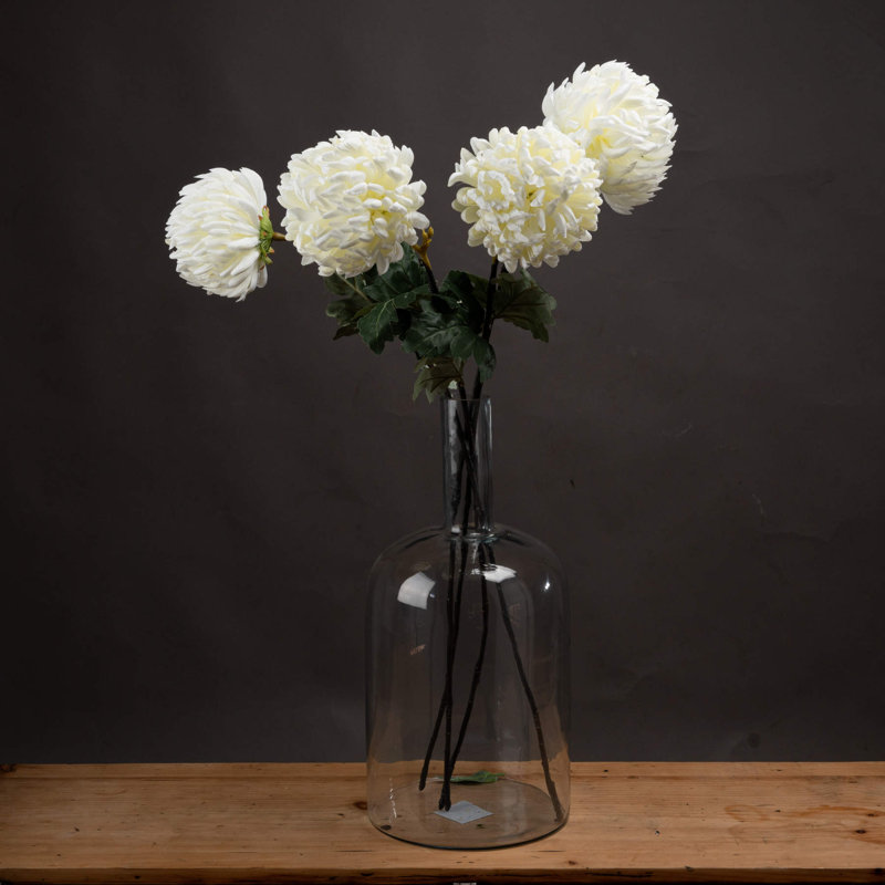 Anastasija Arrangement