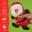 Glen Christmas Decorative Accent