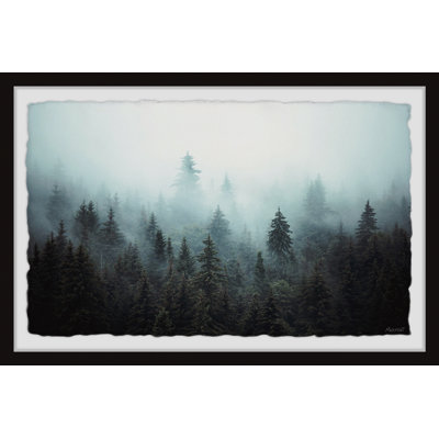 Foggy Pine Forest - Print