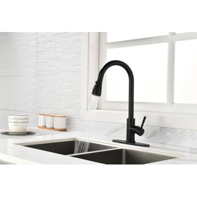 Kitchen Faucet With Pull Out Spraye
