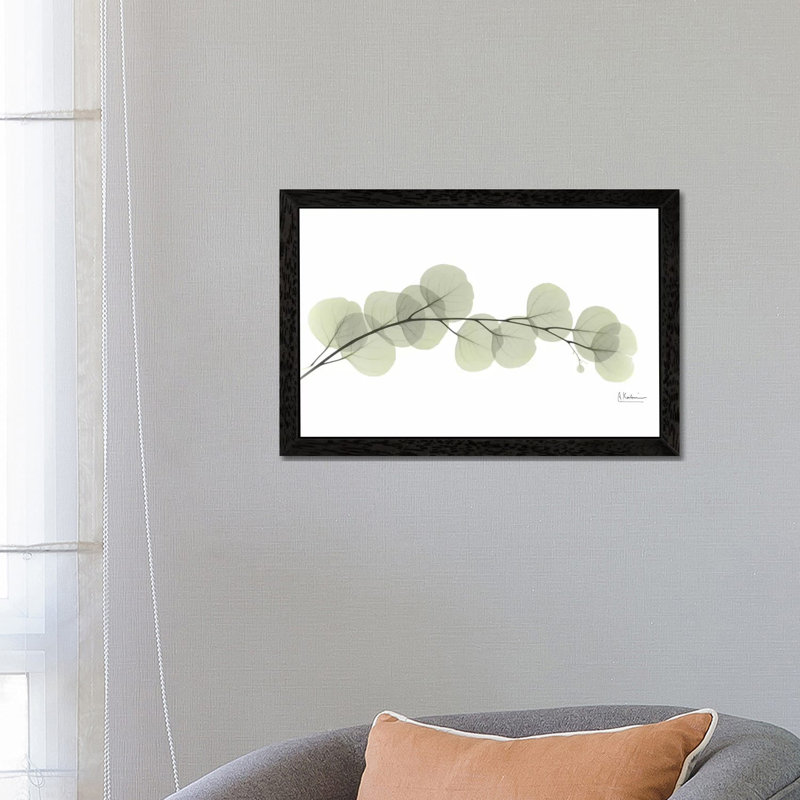Eucalyptus by Albert Koetsier - Print on Canvas, 101.6 cm H x 66.04 cm W, Black Floater Framed