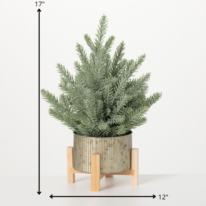 Arbre à feuilles persistantes en pot surélevé