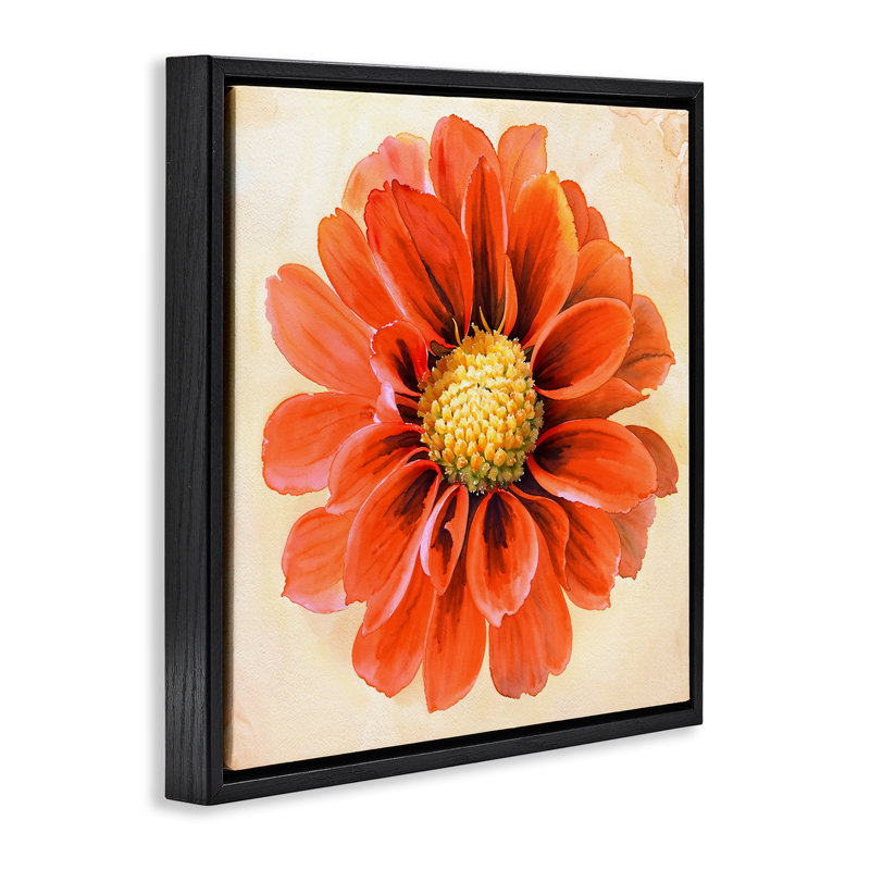 «Orange Dahlia Bloom», art mural encadré par Christine Zalewski, Cadre flottant noir de jais, H 18 po x l 18 po