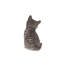 HEAD-TILTING TABBY KITTEN SITTING-50844502