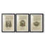 Ex-libris embelli II - impression encadrée sur mesure de qualité supérieure - 3 pièces-771684637-771684639