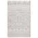 Wynn Southwestern Beige/Silver Rug