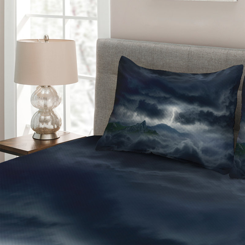 Modern & Contemporary Polyester Coverlet