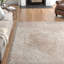 Bridgeview Oriental Area Rug-18959995