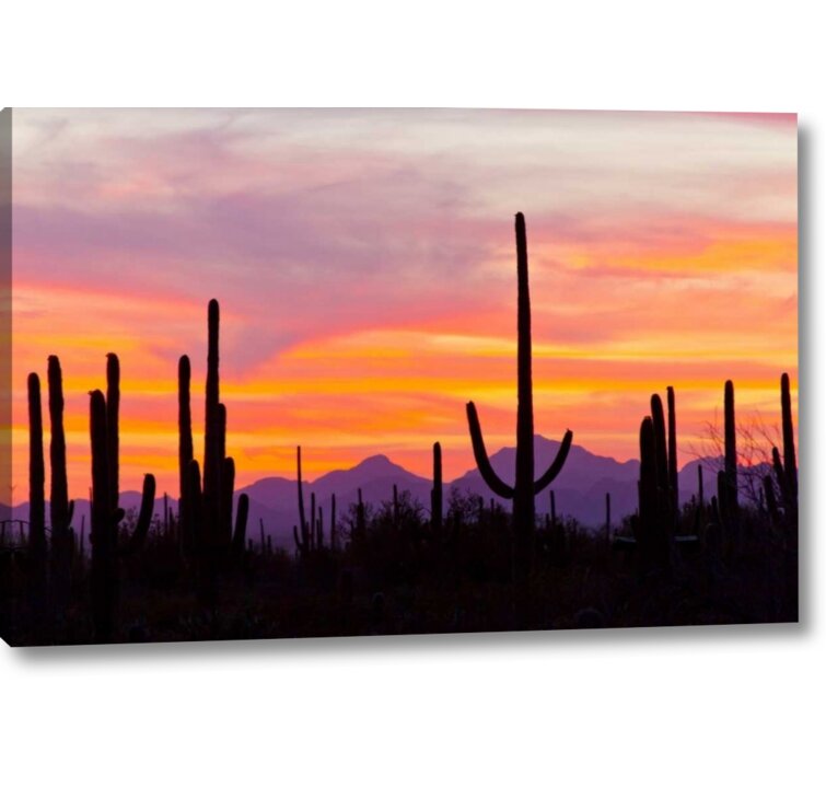 Union Rustic AZ, Sonoran Desert Saguaro Cactus At Sunset On Canvas by ...