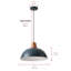 Luminaire suspendu conique à 1 lumière Bernyce-1356188220-1356188222