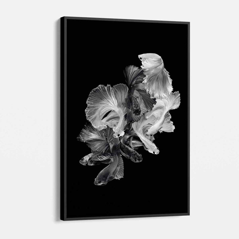 Folarin poisson noir sur toile, H 16 po x l 12 po, Cadre noir