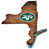 New York Jets